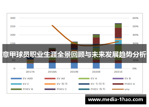 意甲球员职业生涯全景回顾与未来发展趋势分析