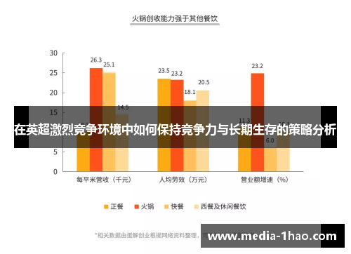 在英超激烈竞争环境中如何保持竞争力与长期生存的策略分析