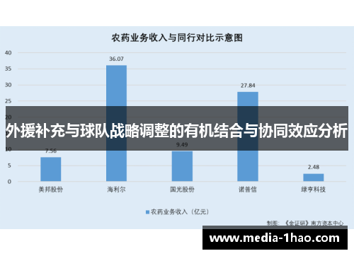 外援补充与球队战略调整的有机结合与协同效应分析