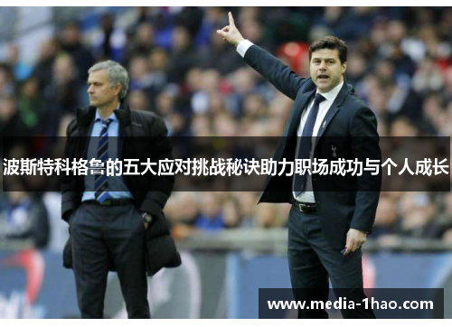 波斯特科格鲁的五大应对挑战秘诀助力职场成功与个人成长
