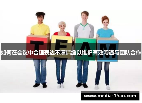 如何在会议中合理表达不满情绪以维护有效沟通与团队合作