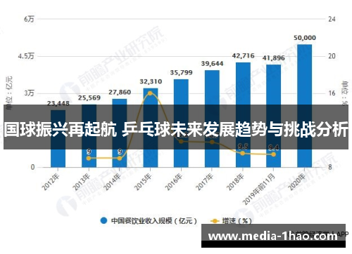 国球振兴再起航 乒乓球未来发展趋势与挑战分析
