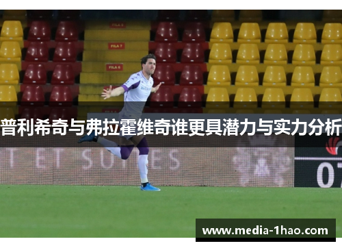 普利希奇与弗拉霍维奇谁更具潜力与实力分析