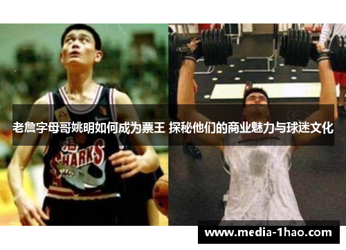 老詹字母哥姚明如何成为票王 探秘他们的商业魅力与球迷文化