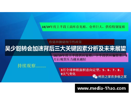 吴少聪转会加速背后三大关键因素分析及未来展望