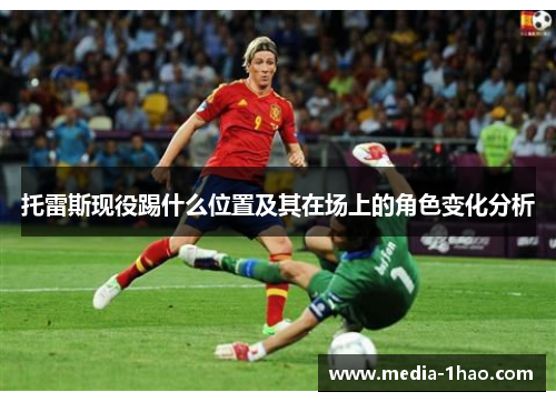 托雷斯现役踢什么位置及其在场上的角色变化分析