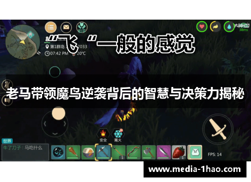 老马带领魔鸟逆袭背后的智慧与决策力揭秘